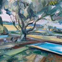 Millstone Farm Swimming Pool
