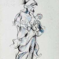 Pluherin Series 17