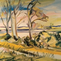 Sycamore Trees