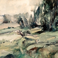 Hillside in Rain