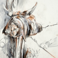 Cow Head I