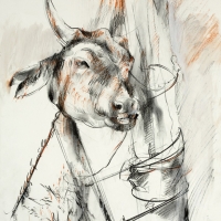 Cow Head II
